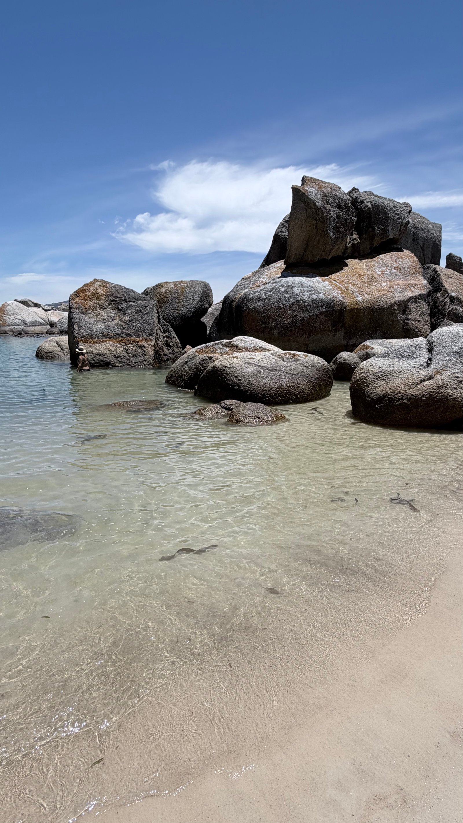 Felsen am Boulders Beach, Simon's Town