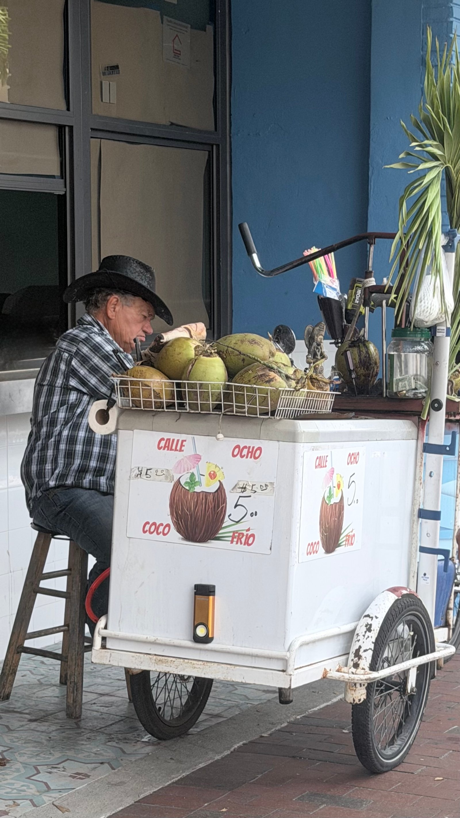 Coco Frio Verkäufer, Little Havana Miami