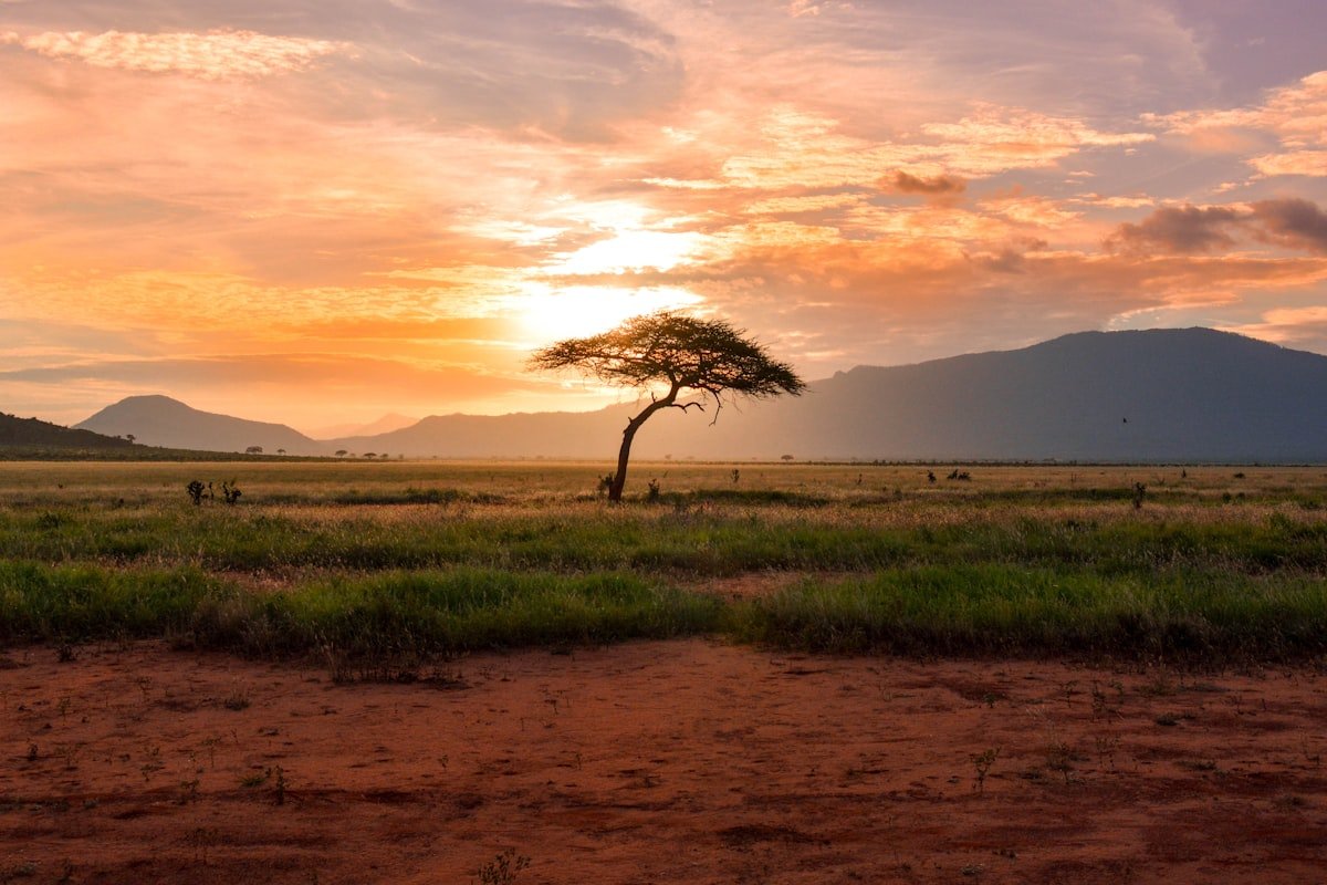 Südafrika Safari