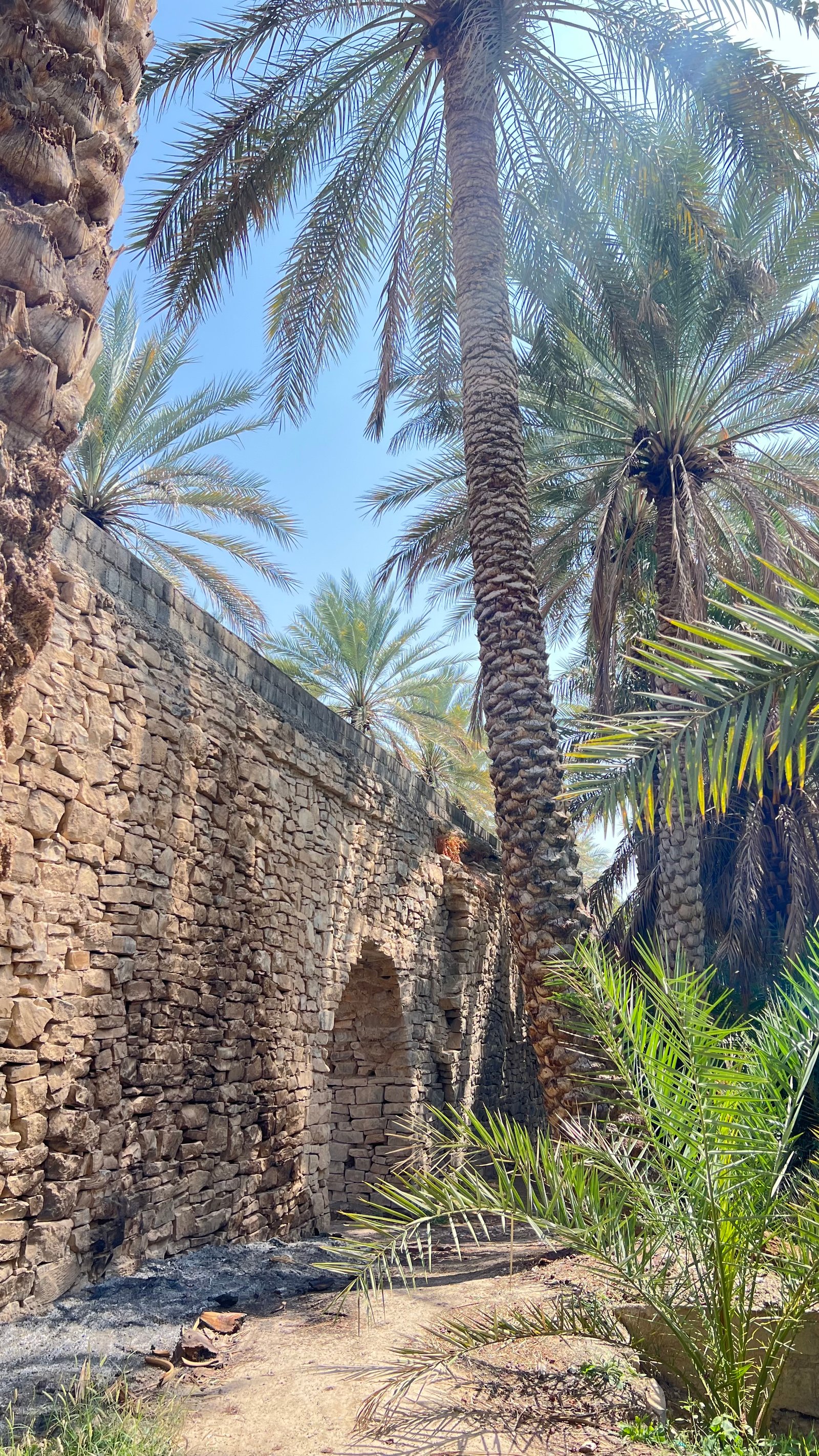 Alte Palmen-Oase, Oman